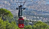 Tocht Stappen Toulon - Autour du Faron - Photo 1