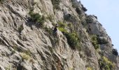 Excursión Senderismo Ollioules - Grottes Monnier et Patrimoine  - Photo 5