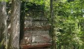 Randonnée Marche Allarmont - 2019-06-08 Marche Allarmont et ses rochers - Photo 13