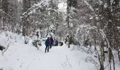 Trail Snowshoes Châtelblanc - raquette jeudi jura - Photo 4
