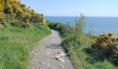 Tocht Te voet Onbekend - Bray Greystones Cliff Walk - Photo 7