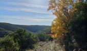 Tour Wandern Saint-Sébastien-d'Aigrefeuille - st Sébastien d'aigrefeuille - Photo 2