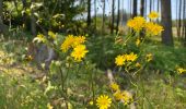 Tour Wandern Bièvre - Oizy 21 km - Photo 7