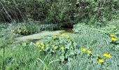 Tour Wandern Theys - PETITE BALADE A PIPAY - Photo 3