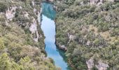 Trail Walking Bauduen - baudinard - Photo 3