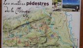 Trail Walking Barret-sur-Méouge - Gorges de la meouge - Photo 10