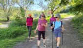 Trail  Yerres - BM boucle Réveillon Yerres  - Photo 14