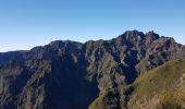 Percorso Marcia Ilha - Madère : vers le Pico Ruevo sommet de l'île - Photo 2