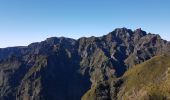 Trail Walking Ilha - Madère : vers le Pico Ruevo sommet de l'île - Photo 2