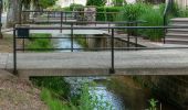 Tour Zu Fuß Echternach - Autopédestre Echternach 1 - Photo 2