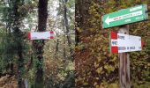 Trail On foot Caprino Veronese - Caprino - Bocchetta di Naole - Photo 6