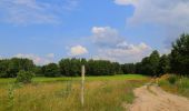 Tour Zu Fuß Byhleguhre-Byhlen - Wanderweg Byhleguhrer See-Byhleguhre-Bismarkturm-Burg - Photo 6