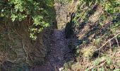 Tour Wandern Wanze - Bas Oha 180325 - Photo 6