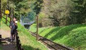 Randonnée Marche Mont-Dore - cascade-puys-Sancy - Photo 2