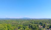Trail Walking Grignan - Grignan et son chÃ¢teau  - Photo 2