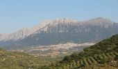 Percorso A piedi Dorgali - Grande Traversata Supramontes Tappa 3 - Photo 5