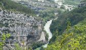 Excursión Senderismo Trigance - Trigance-Rougon-Pt Sublime - Photo 10