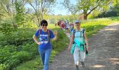 Trail  Yerres - BM boucle Réveillon Yerres  - Photo 13