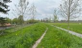 Trail Walking Hamme - Kastel 15,5 km - Photo 6