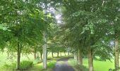 Tour Wandern Sainte-Ode - rando beauplateau 24-08-2023 - Photo 18