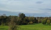 Tour Wandern Aubel - A la découverte de Val Dieu  - Photo 4