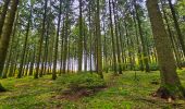 Tour Wandern Gedinne - Balade à Willerzie - Gedinne - Photo 6