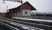 Excursión A pie Eglisau - Eglisau Bahnhof - Station Glattfelden - Photo 3