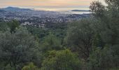 Trail Walking Ollioules - vallon des bonnes herbes - Photo 1