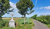 Tour Wandern Weset - Richelle 10km - Photo 4