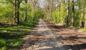 Trail Walking Avilly-Saint-Léonard - randonnée en forêt de chantilly - Photo 6