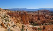 Excursión Senderismo Unknown - 2024 Bryce Canyon Queen's Trail - Photo 1