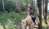Trail Horseback riding Sallent de Gállego - Gavarnie étape 2 - Photo 16