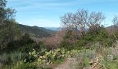 Trail Walking Collobrières - Les Maures-Collobrières-15-03-23 - Photo 2