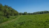 Trail On foot Mole Valley - Norbury Park walk (SCC) - Photo 2