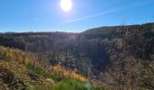 Tour Zu Fuß Lierneux - Boucle à Lierneux - Photo 2