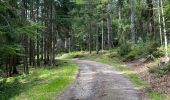 Randonnée Vélo électrique Ostwald - Ostwald  Mont St Odile. - Photo 19