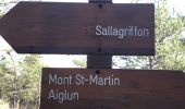 Randonnée Marche Sigale - Sigale - Mont Saint Martin - Photo 5