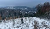 Tocht Stappen Stavelot - SityTrail - Extratrail_stavelot_13km_new - Photo 1