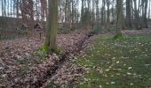 Trail On foot Alfter - Ville A40 Olsdorf - Photo 2