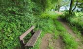 Trail Walking Havelange - Havelange 110624 - Photo 10