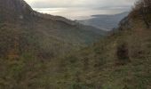 Randonnée Trail Castellar - Grand mont- col du berceau or les crêtes - Photo 1