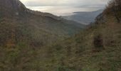 Excursión Ruta Castellar - Grand mont- col du berceau or les crêtes - Photo 1