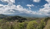 Trail On foot Chiusi della Verna - IT-046 - Photo 1