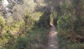 Trail Walking Martigues - Promenade sur la rive de l'étang de Berre  - Photo 1