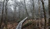 Tocht Stappen Waimes - botrange . baraque Michel longeant la fagne wallonne . Retour via croix des fiancés.  pont bleu.  fagne de polleur . station météo Mont rigide  - Photo 17