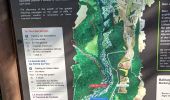 Trail Walking Oppedette - 84-gorges_oppedette_7km240m - Photo 1
