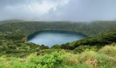 Tour Wandern Fajã Grande - Le tour des lacs de cratère à Flores - Photo 1