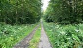 Trail Walking Oigny-en-Valois - en forêt de Retz_86_les Laies de la Poudrerie et de la Fosse aux Demoiselles - Photo 13