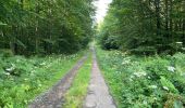 Randonnée Marche Oigny-en-Valois - en forêt de Retz_86_les Laies de la Poudrerie et de la Fosse aux Demoiselles - Photo 13