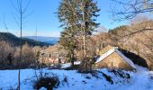 Randonnée Marche Mont Lozère et Goulet - Oultet/Lozerette/Les Sagne/Auriac - Photo 6